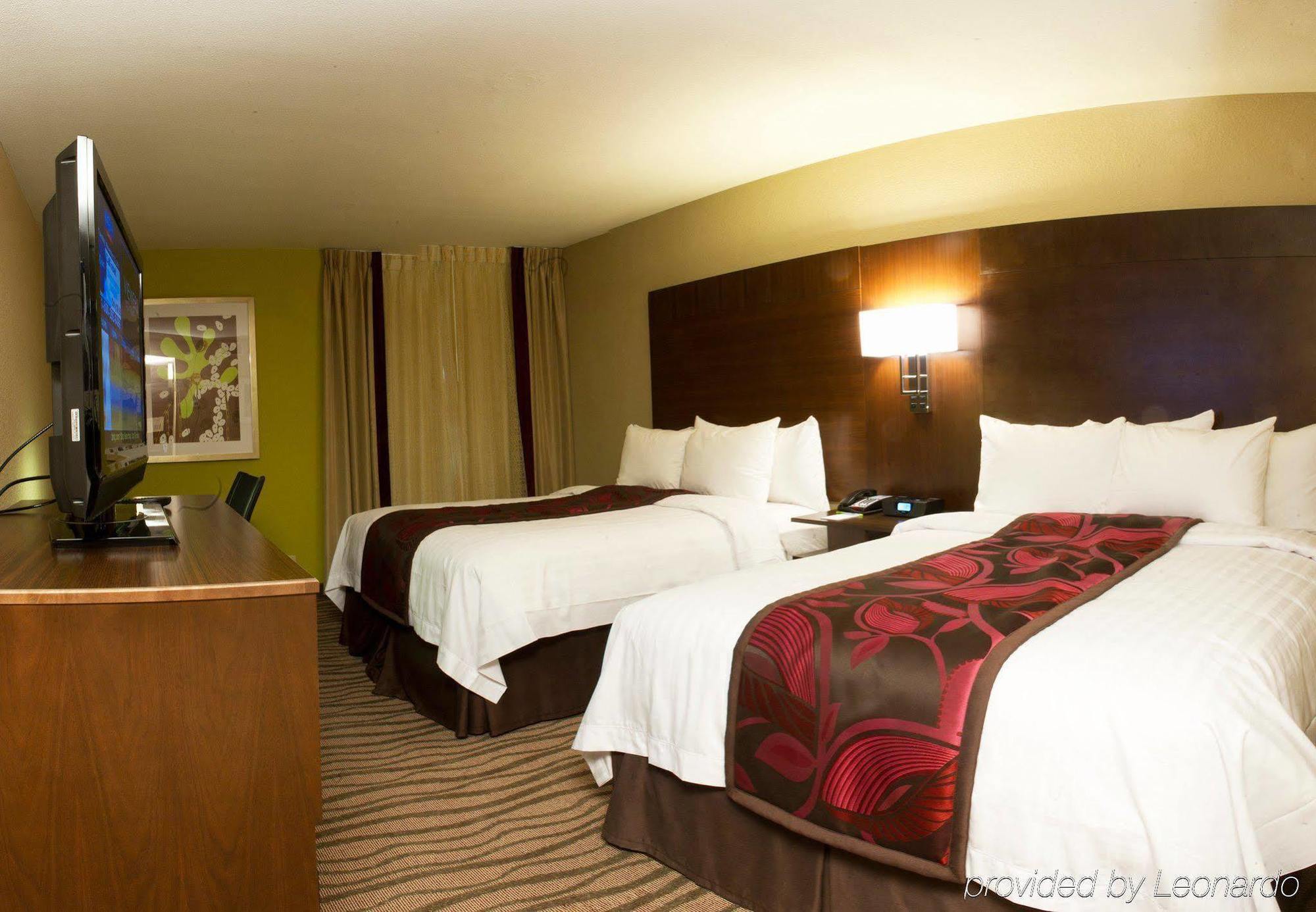 Fairfield Inn & Suites By Marriott Dallas Dfw Airport South/Irving Room photo